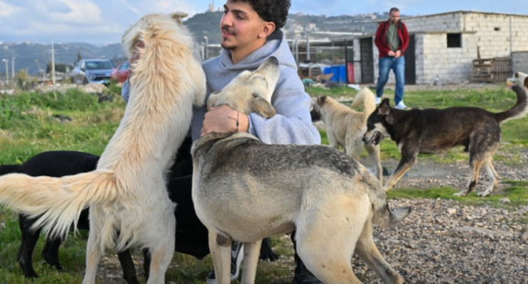 Lübnanlı Genç, Saldırılar Altındaki Bölgelerde Hayvanları Kurtarıyor