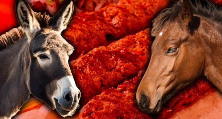 Tarım Bakanlığı Sahtecileri İfşa Etti: Vatandaşa At ve Eşek Eti Yediren Markalar Açıklandı