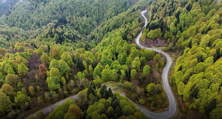 Tarım ve Orman Bakanlığı'ndan Orman Yangınlarına Karşı Kritik Uyarı