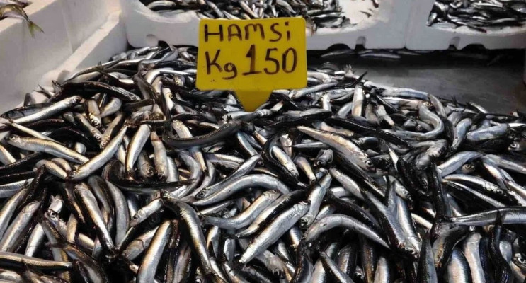 Bir buçuk aydır çıkmayan yerli hamsi yeniden tezgahlarda