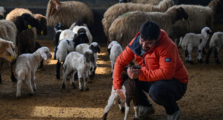 Van’da Genç Girişimciye “Sürü” Desteği Verildi