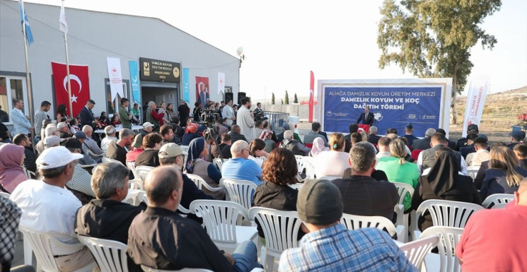 İzmir'de Küçükbaş Hayvan Dağıtımı