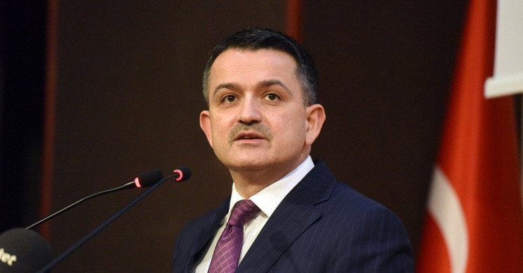 Bekir Pakdemirli Kimdir?