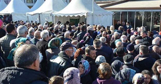 1 Ton Hamsi Ücretsiz Dağıtıldı