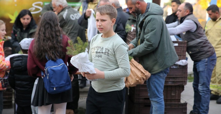 11 Kasım Milli Ağaçlandırma Günü'nde Fidan Dikim Etkinlikleri