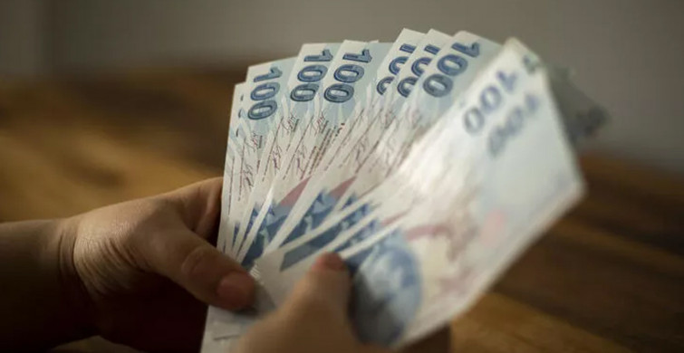 1100 TL pandemi yardımı devam ediyormu, sonuç sorgulama nasıl yapılır? Pandemi yardımlarında son durum: İşte E devlet başvuru sonuç sorgulama ekranı