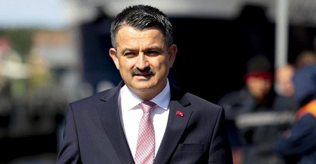 166 Milyonluk Hibe Kazanan 133 Proje Açıklandı