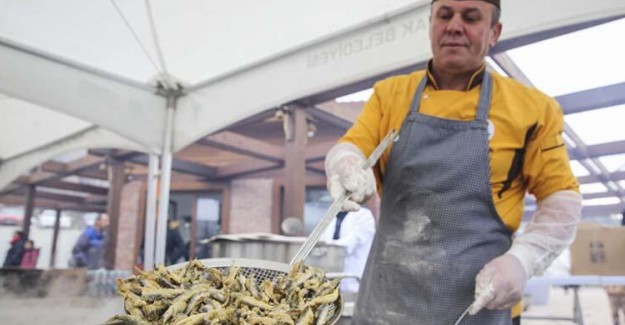 2 Ton Hamsi 2 Saatte Tükendi!