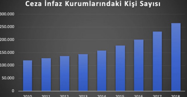 2018'de En Çok İşlenen Suç Hırsızlık Oldu