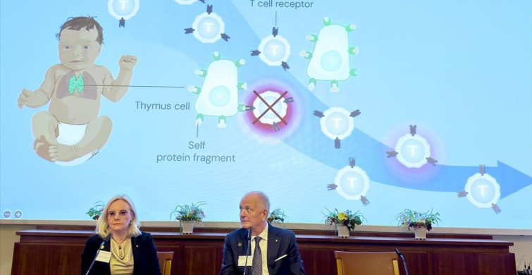 2025 Nobel Tıp Ödülü Sahipleri Belli Oldu