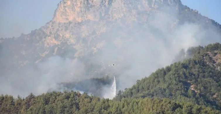 21 Şehirde Eş Zamanlı Orman Yangını