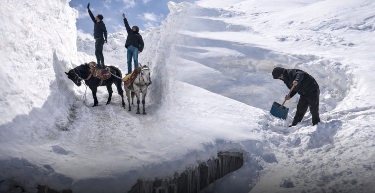 3-4 Metrelik Karla Yaşam Mücadelesi