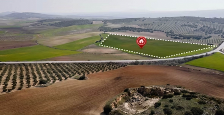 30 arsa %20 indirimli satışa çıkarıldı! Nisan 2024 kampanyasını neşe saçıyor