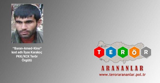 300 Bin TL Ödülle ''Gri'' Kategoride Yer Alan Terörist Etkisiz Hale Getirildi!