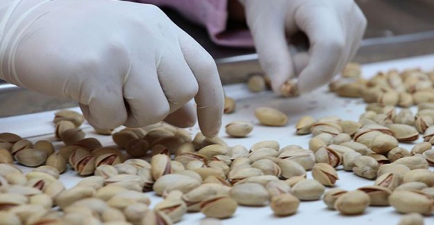 39 Türk Firmasından Çin'e Antep Fıstığı İhracatı 
