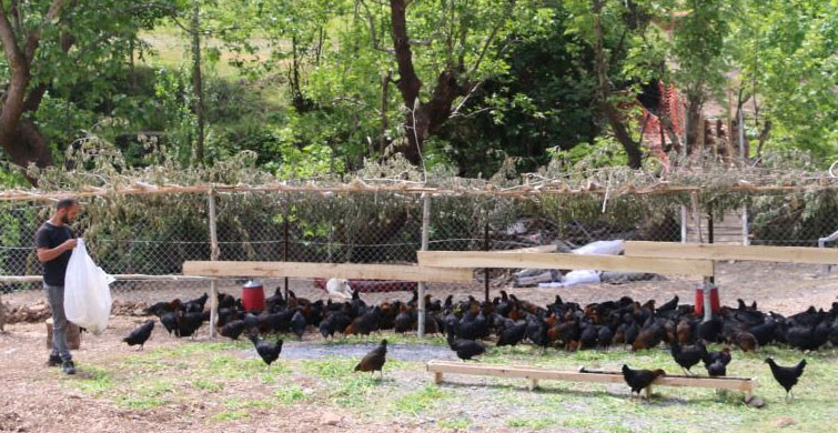 4 İşsiz Kardeş Devlet Desteği Sayesinde Çiftlik Kurdu