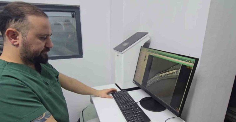 4 Kurşunla Vurulan Sokak Köpeği Hayata Döndü