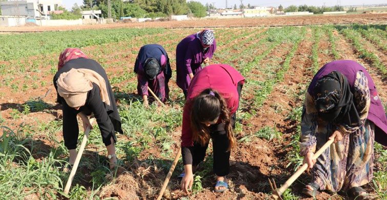 40 Derece Sıcaklıkta Çalışıyorlar