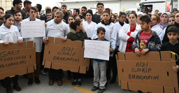 40 Yıllık Tavuk Firması Garip Tavukçuluk, Konkordato İstedi