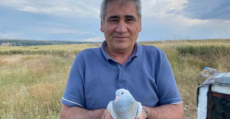 43 yıldır süren güvercin tutkusu