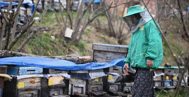 45 Yıldır Arıcılık Yapan Kadın Girişimci