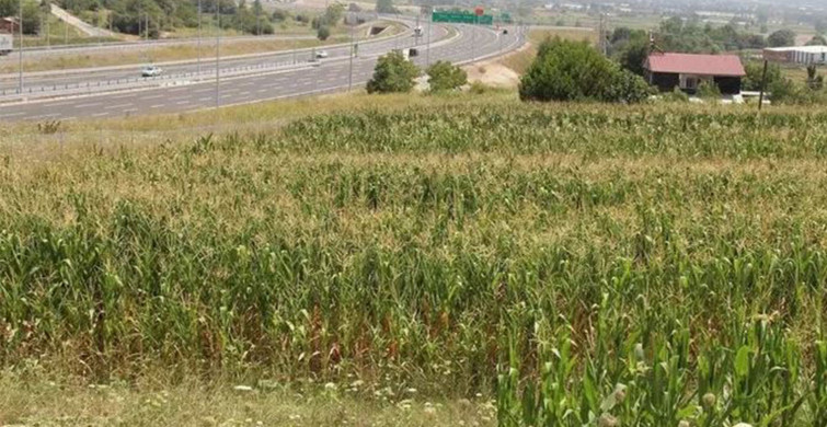 5 Bin Liralık Arsa Fiyatı 500 Bin Liraya Fırladı