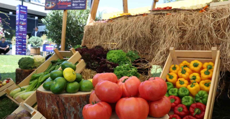5. Uluslararası Foodfest Antalya Gastronomi Festivali Başlıyor