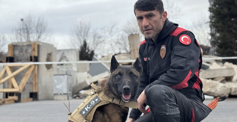 6 Şubat Depremlerinin Üçüncü Yılı: Arama Kurtarma Köpekleri Görevde
