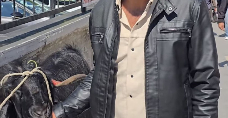 70 Kiloluk Dev Keçi 36 Bin Liraya Satıldı