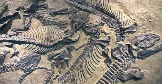 70 Milyon Senelik Dinozor Kalıntıları Keşfedildi