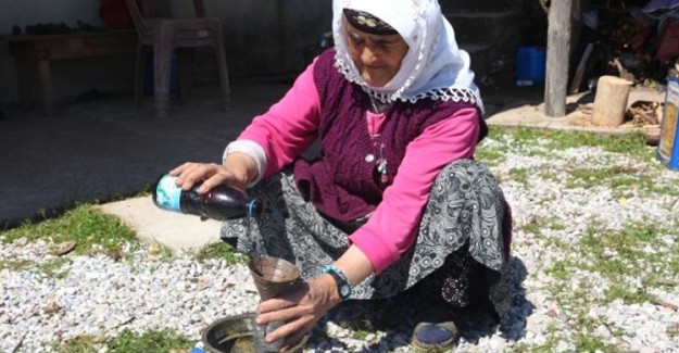 74 Yaşındaki Teyze Katran Üretip Kilosunu 200 Liradan Satıyor
