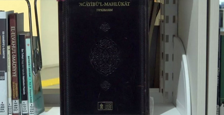 800 yıl önce yazılan depremin haberci olan kara kitap: O kuş türü depremi hissediyor