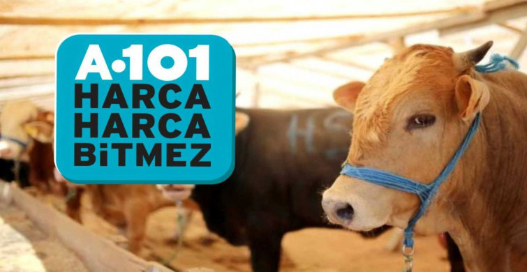 A101 Büyükbaş ve küçükbaş kurbanlık ne kadar? A101'de taksitle kurbanlık satılıyor mu?