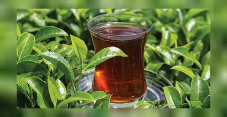 A101, Şok, Migros, Carrefoursa zam sonrası çay fiyatları: Filiz çay fiyatı ne kadar oldu?