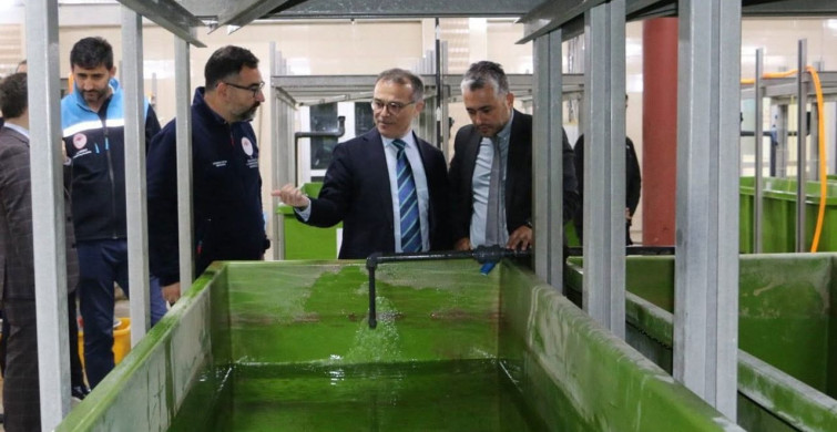 Abant gölü'ne 100 bin endemik Abant alası bırakıldı