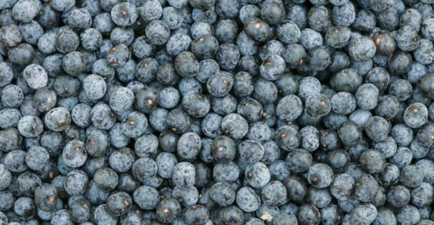 Acai Çileği Nedir? Faydaları Nelerdir?