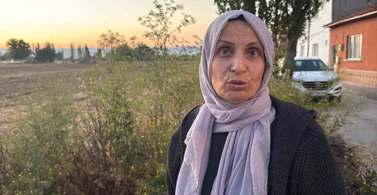 Açıkta bırakılan hayvan gübresi mahalleliyi rahatsız ediyor