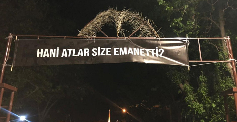 Adalar’da Hayvanseverler, İBB’ye Kayıp Atları Pankartlarla Sordu