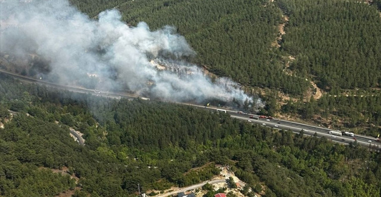 Adana Pozantı'daki Yangın Ormana Sıçradı