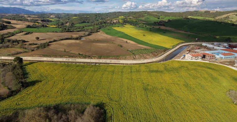 Adana'da Devlet Destekli Kanola Üretimi Tarımda Yeni Bir Dönem Başlatıyor
