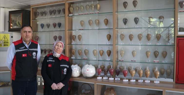 Adana'da Geliştirilen Tohumlar 13 Ülkeye İhraç Ediliyor