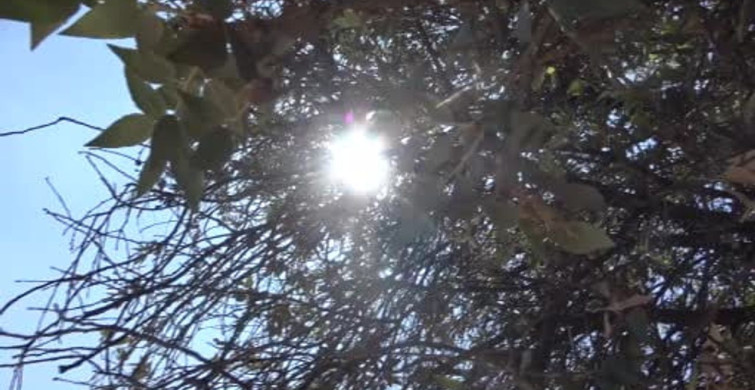 Adana'da hava sıcaklıkları 36 dereceye yükseldi