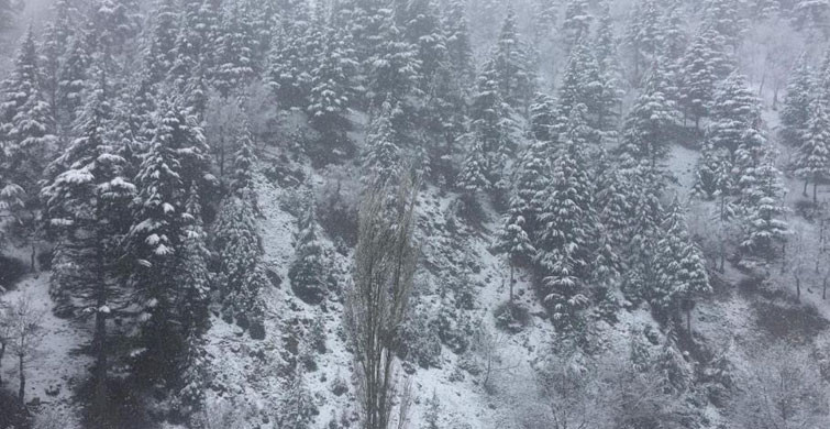 Adana’da Kar Yağışı Etkisini Gösterdi