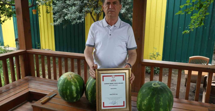 Adana'da karpuz hasadı sürerken uzmanlardan seçim ipuçları