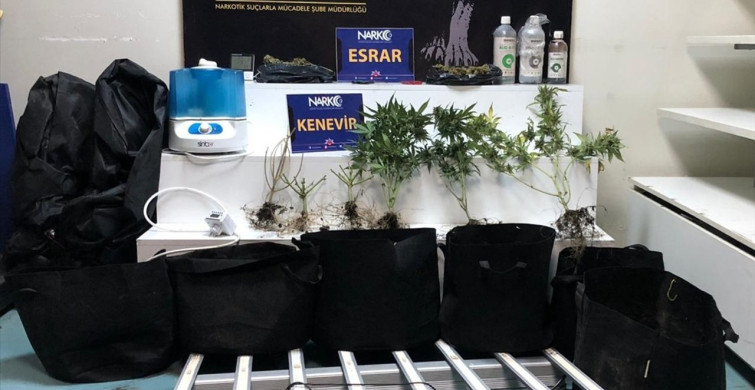 Adana'da Kenevir Yetiştiren Zanlı Tutuklandı