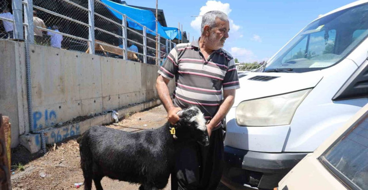 Adana'da Kurbanlıkların Taşınma Yöntemleri
