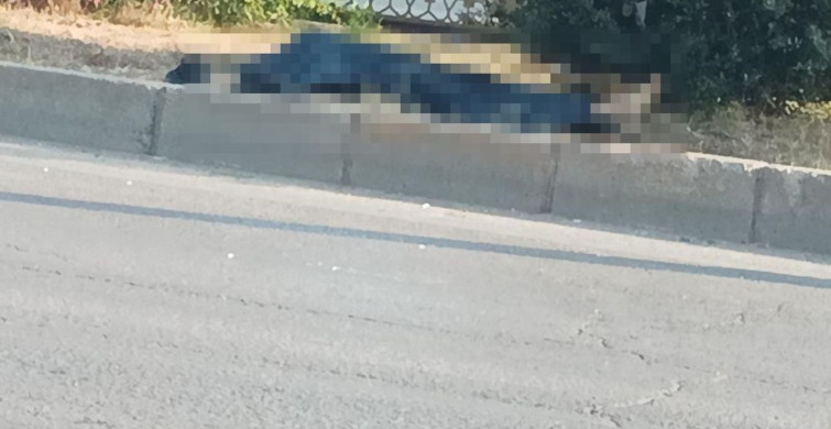 Adana’da minibüsün çarptığı yaya hayatını kaybetti