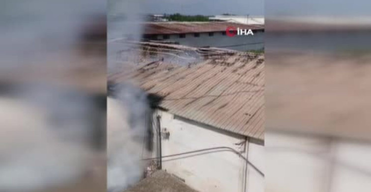 Adana'da narenciye paketleme tesisinde yangın meydana geldi