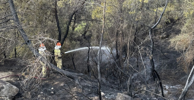 Adana'da Orman Yangını Kontrol Altına Alındı