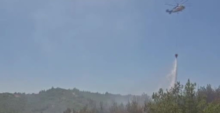 Adana’da otomobilden başlayarak ormana sıçrayan yangına müdahale sürüyor